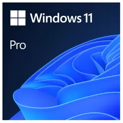 Microsoft Windows 11 Pro